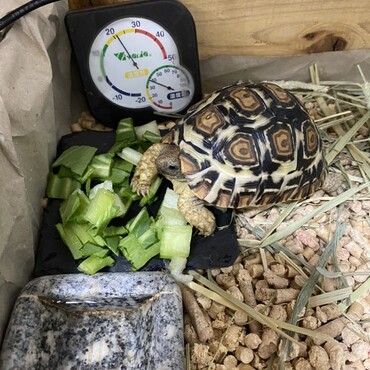 すきすき大好き