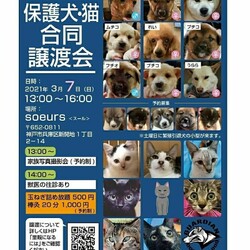 Soeurs譲渡会