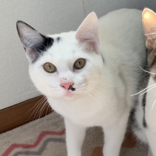 少しずつ人馴れしてくれた男の子