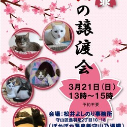 保護猫の譲渡会in守山