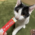 甘えん坊の男の子