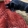 拗ねてます。顔怖っ