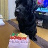 我慢してます。