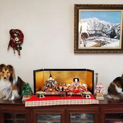 ひな祭りしましょう