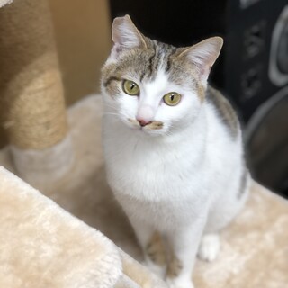 里親決定♡