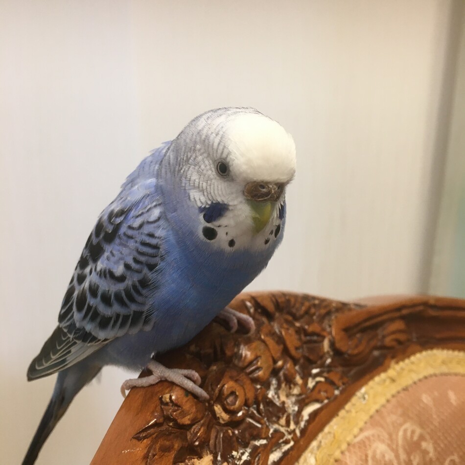 そらのカバー写真