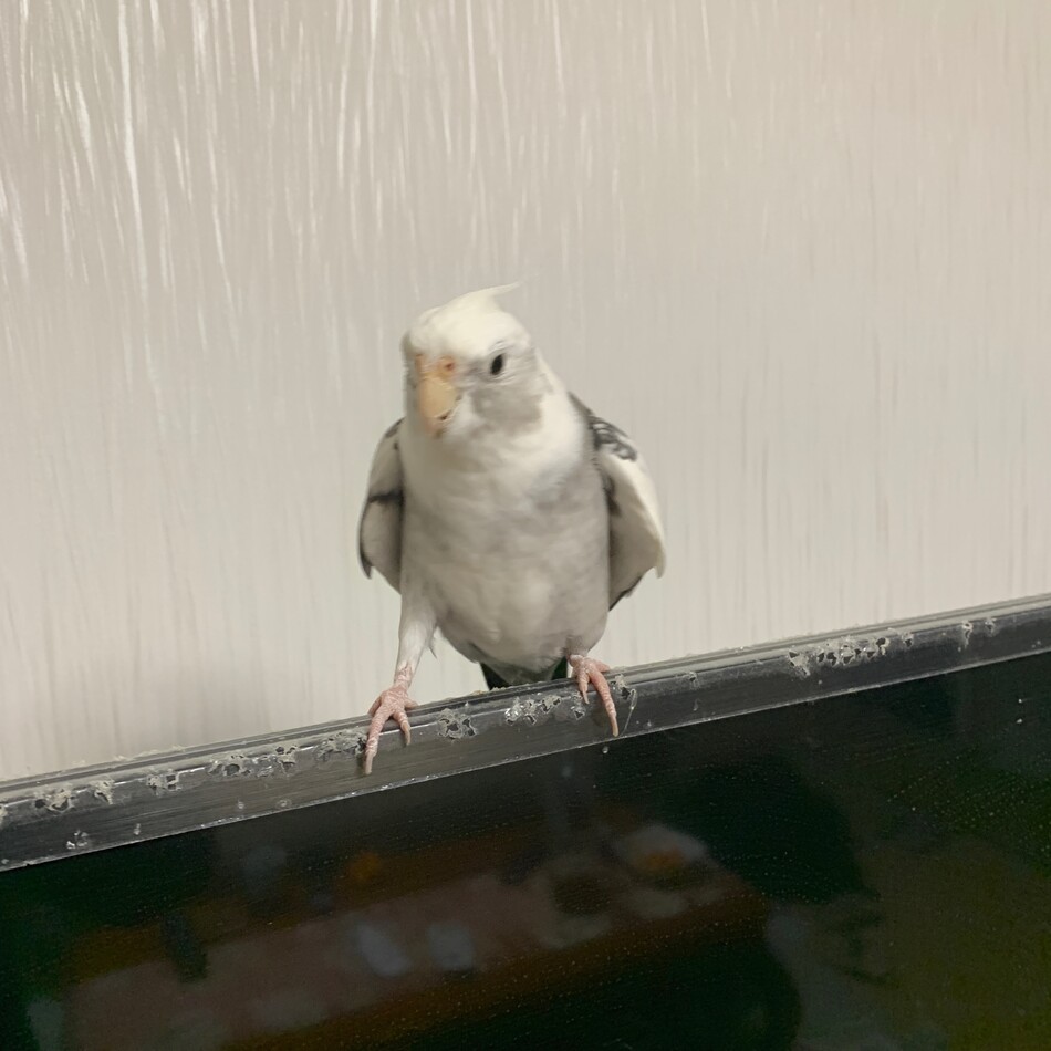 ゆうのカバー写真