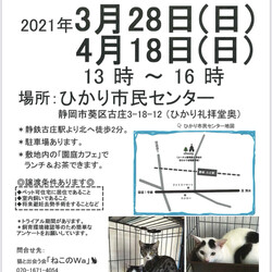 ねこのWa猫譲渡会　静岡市葵区