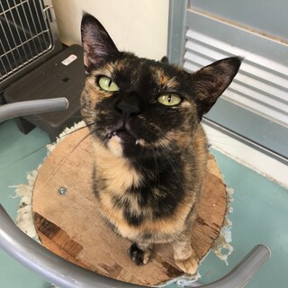 怖がりさんのち、めちゃ甘さん。