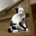 一緒に寝てくれる甘えん坊さん