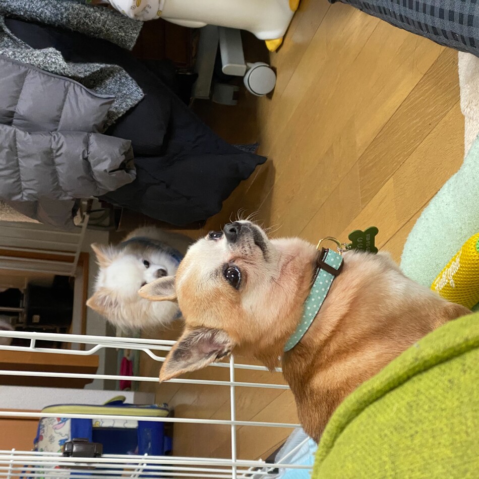 うののんのカバー写真