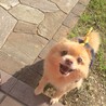 いのまる☺︎