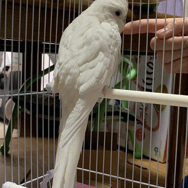 一緒にいた子は弟夫婦の所に行きました。