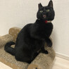 ちーかーあさん
