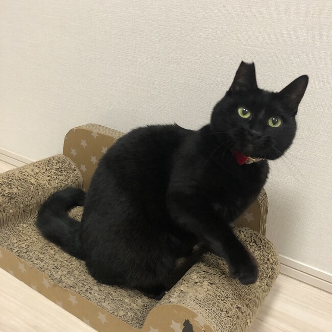 ちーかーあさんのカバー写真