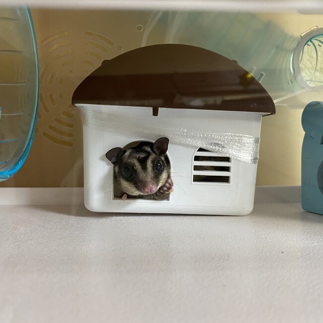 あゆか‪‪☺︎‬のカバー写真