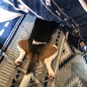 しおり02