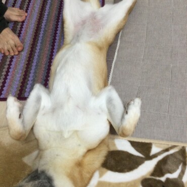 のびすぎー