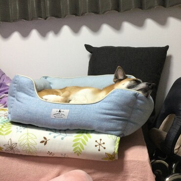 の写真