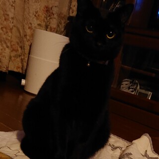 ちょっと怖がりで控え目なモネちゃん