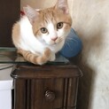 甘えん坊でおしゃべりな男の子　ポン太くん
