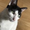 きゅん