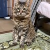 ルカ