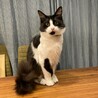 レム