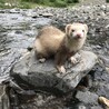れなれな08 さん
