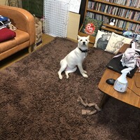 ハナ