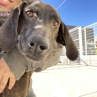 大きな赤ちゃんキクラゲくん