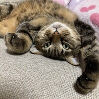 まろ