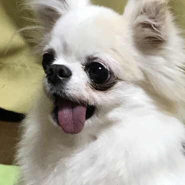 みんな、ありがとう♡     お空組１年生です。よろしくね♪あざみ