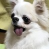 みんな、ありがとう♡     お空組１年生です。よろしくね♪あざみ
