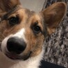 アップ写真