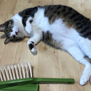 スリゴロベタ甘で鼻水残ってるけど可愛すぎるユウゴ君