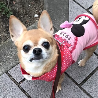 やまなし）控えめにそーっと甘えたいの❤
