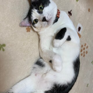 優しい男の子☆レオンくん