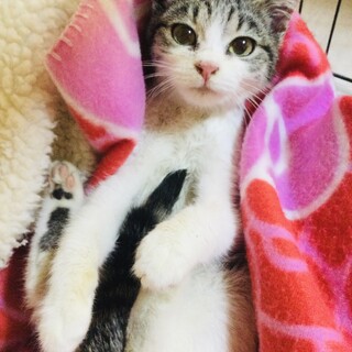 感謝！！素晴らしいパパとママに出逢えました！