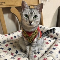 白米