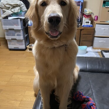 産まれて1年が経ちましたෆྉꈍ ◡ ꈍ ℒ ͦ ͮ ͤ  