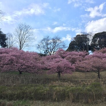 心安らかに…今ある幸せを大切に生きて行きましょう！