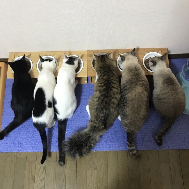 ゆいみたのカバー写真
