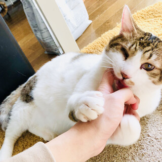 人が大好きな片目の甘えん坊boy！ころすけ君