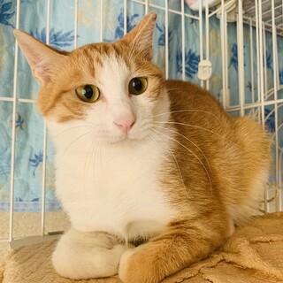 臆病な僕にも家族が出来ました‼️