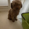 元気で人が大好き‼︎