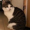 人が大好きなポテチちゃん