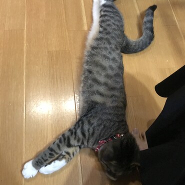 長いね〜〜〜