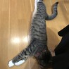 長いね〜〜〜