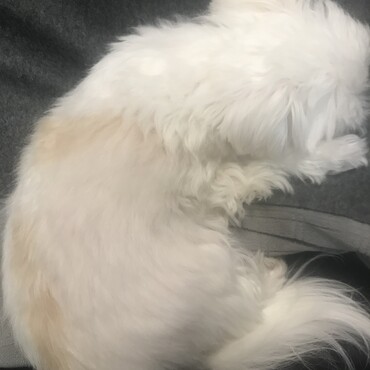 くつろぎ中
